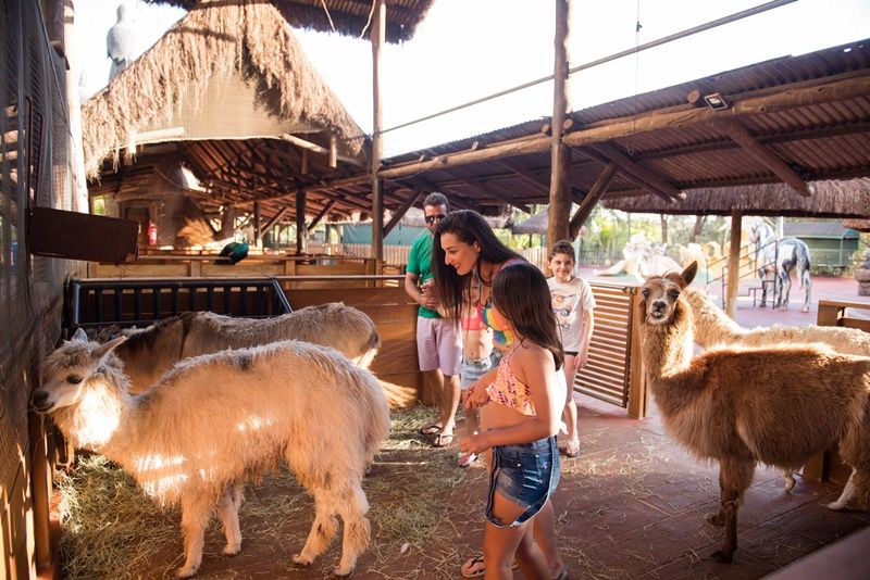 Zoológico e Fazendinha do Thermas dos Laranjais
